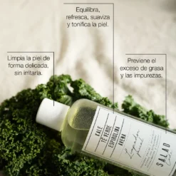 Limpiador Facial Antioxidante 10 Limpiador Facial Antioxidante -Cliomakeup Shop Limpiador facial BENEFICIOSPRODUCTO 2