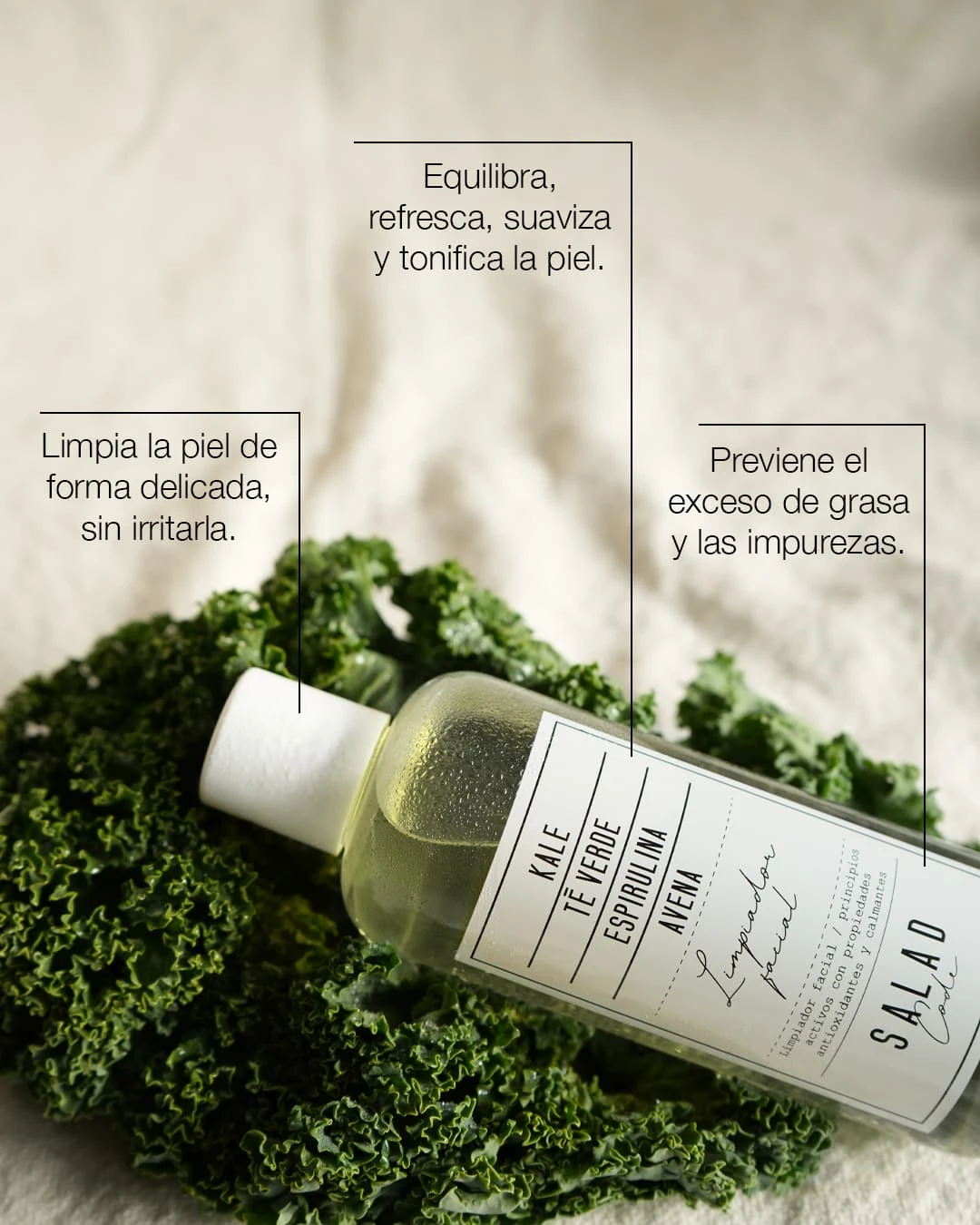 Limpiador Facial Antioxidante 4 Limpiador Facial Antioxidante - Image 2