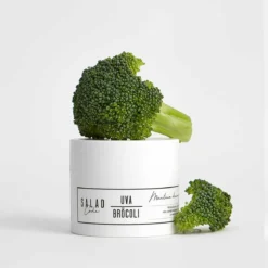 Manteca Desmaquillante