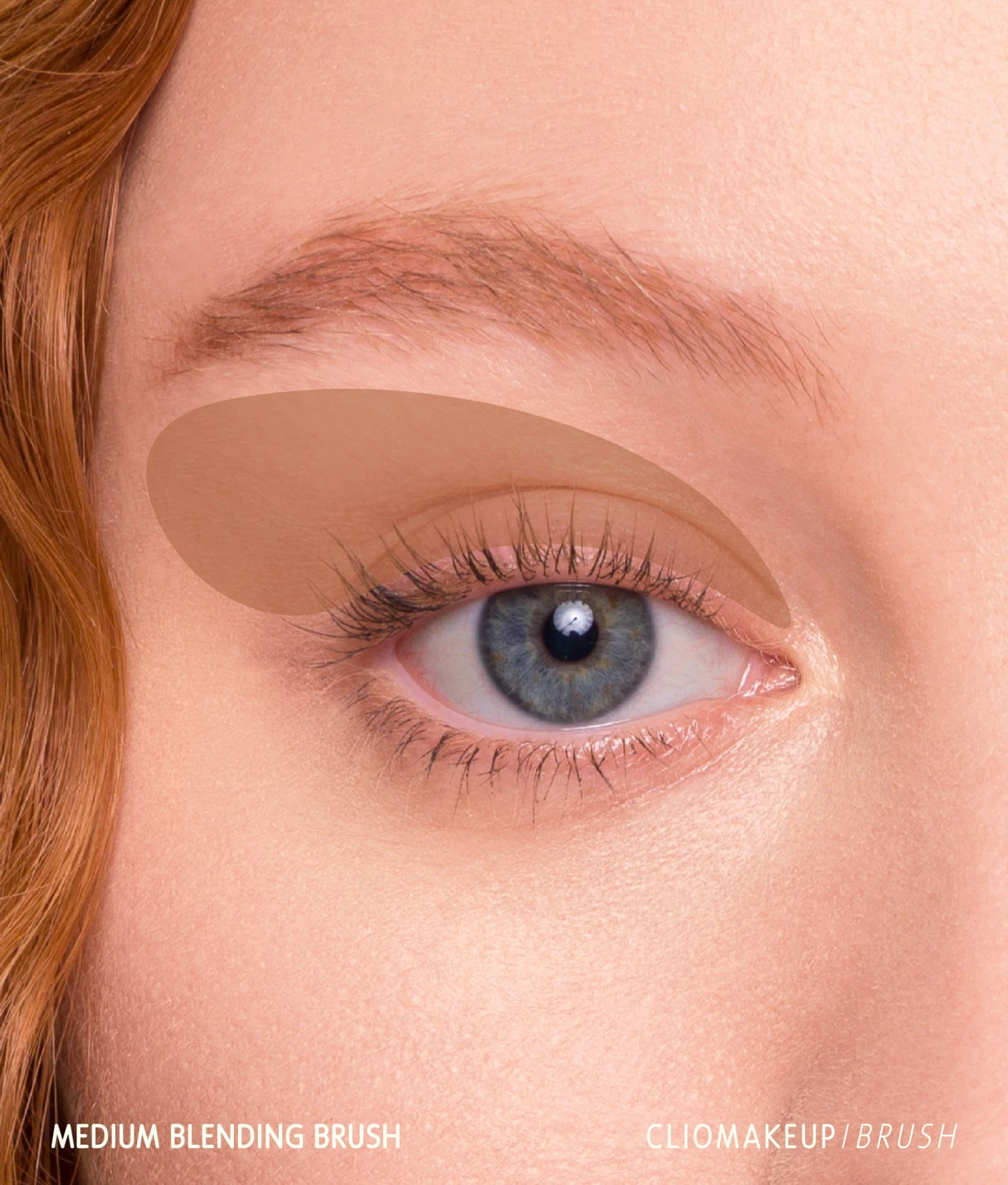 Medium Blending Brush 4 Medium Blending Brush - Image 2